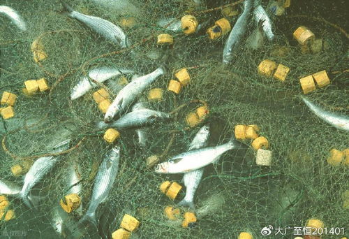 AquaTech 2026 馬來(lái)西亞漁業(yè)展覽會(huì) 領(lǐng)航漁業(yè)新紀(jì)元，驅(qū)動(dòng)畜牧漁業(yè)飼料銷售創(chuàng)新